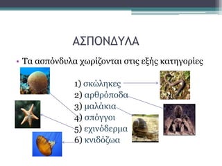 ΑΣΠΟΝΔΥΛΑ
• Τα ασπόνδυλα χωρίζονται στις εξής κατηγορίες
1) σκώληκες
2) αρθρόποδα
3) μαλάκια
4) σπόγγοι
5) εχινόδερμα
6) κνιδόζωα
 