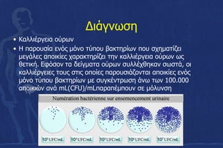 Διάγνωση
• Καλλιέργεια ούρων
• Η παρουσία ενός μόνο τύπου βακτηρίων που σχηματίζει
μεγάλες αποικίες χαρακτηρίζει την καλλιέργεια ούρων ως
θετική. Εφόσον τα δείγματα ούρων συλλέχθηκαν σωστά, οι
καλλιέργειες τους στις οποίες παρουσιάζονται αποικίες ενός
μόνο τύπου βακτηρίων με συγκέντρωση άνω των 100.000
αποικιών ανά mL(CFU)/mLπαραπέμπουν σε μόλυνση
 