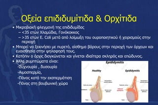 Οξεία επιδιδυμίτιδα & Ορχίτιδα
• Μικροβιακή φλεγμονή της επιδιδυμίδας
– <35 ετών Χλαμύδια, Γονόκοκκος
– >35 ετών E. Coli μετά από λοίμωξη του ουροποιητικού ή χειρισμούς στην
περιοχή
• Μπορεί να ξεκινήσει με πυρετό, αίσθημα βάρους στην περιοχή των όρχεων και
ευαισθησία στην ψηλαφησή τους.
• Κατόπιν ο όρχις διογκώνεται και γίνεται ιδιαίτερα σκληρός και επώδυνος.
• Άλλα συμπτώματα είναι:
-Συχνουρία , δυσουρία
-Αιμοσπερμία,
-Πόνος κατά την εκσπερμάτιση
-Πόνος στη βουβωνική χώρα
 