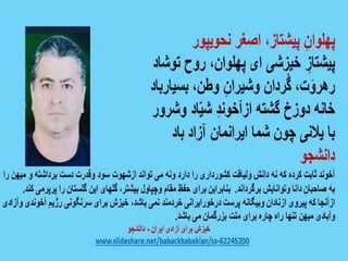 خشم، خیزش، آزادی 