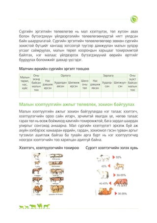 Сүргийн бүтэц | PDF