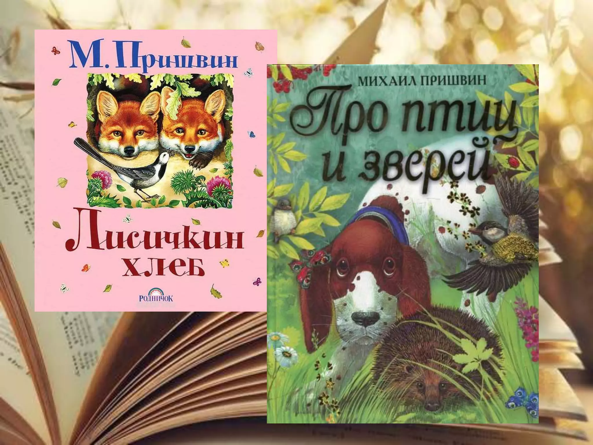 Колесникова Н.Н.