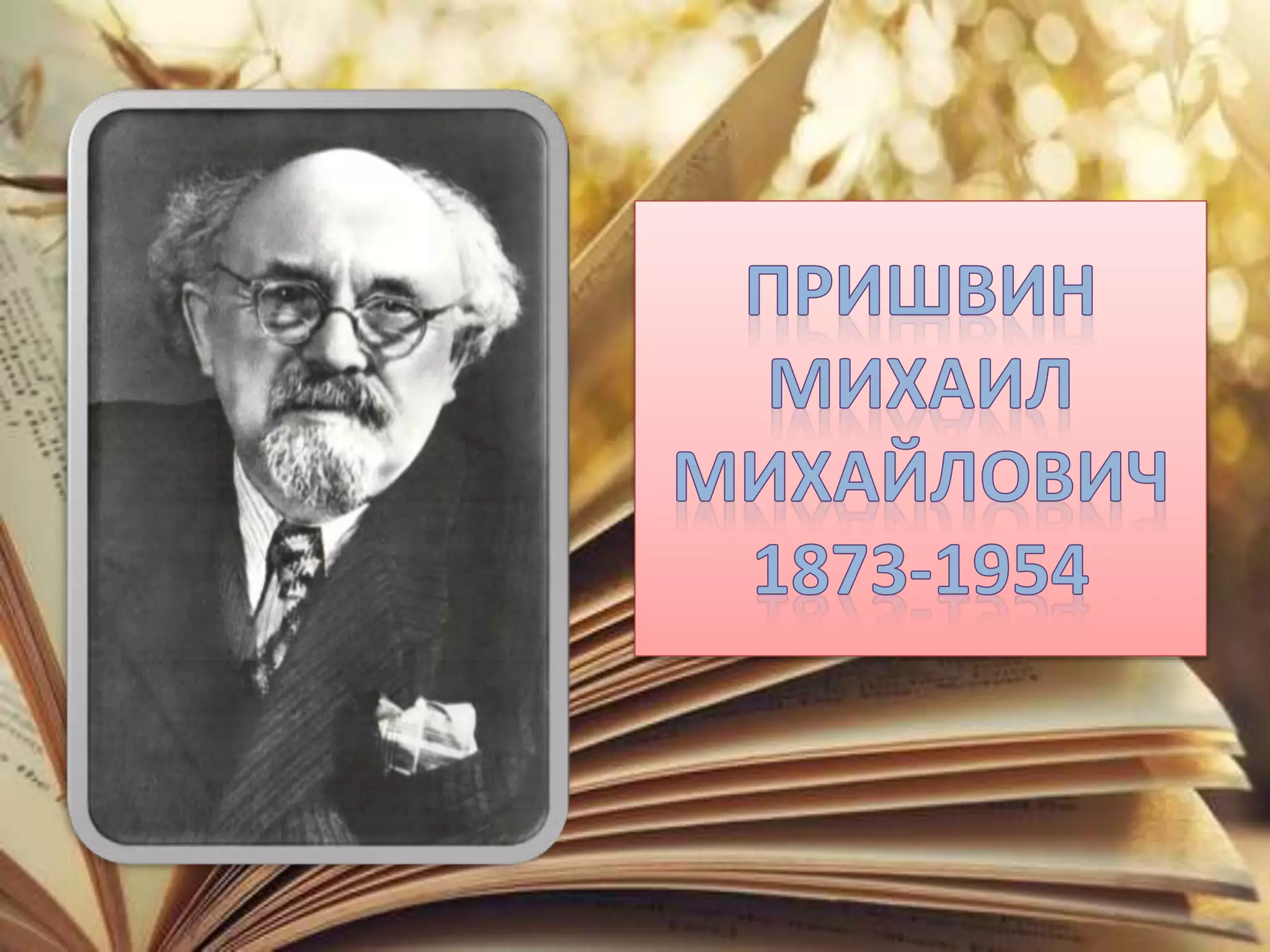 Колесникова Н.Н.