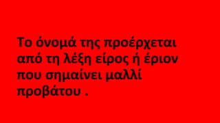 Το όνομά της προέρχεται
από τη λέξη είρος ή έριον
που σημαίνει μαλλί
προβάτου .
 