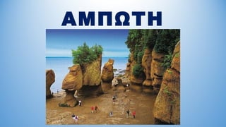 ΑΜΠΩΤΗ
 