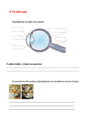 4.Το μάτι μας
Συμπλήρωσε τα μέρη του ματιού
Τι ρόλο παίζει η κόρη των ματιών;
…………………………………………………………………………………………………………………
…………………………………………………………………………………………………………………
Σε ποια από τις δύο εικόνες η γάτα βρίσκεται στο σκοτάδι και σε ποια στο φως;
_________________________________________________________________________
_________________________________________________________________________
_________________________________________________________________________
 