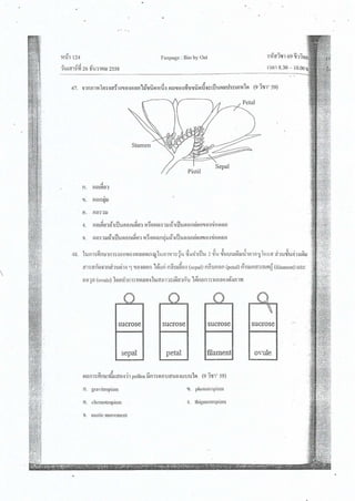 ชีววิทยา