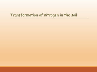 Transformation of nitrogen in the soil
 