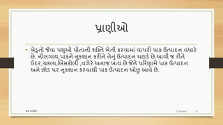 પ્રાણીઓ
• ખેડૂતો જેવા પશુઓ પોતાની શક્તત ખેતી કરવામાં વાપરી પાક ઉત્પાદન વધારે
છે. નીલગાય.પાકને નુકશાન કરીને તેનું ઉત્પાદન ઘટાડે છે.આવી જ રીતે
ઉદર,ચકલા,ણખસકોલી ,વગેરે અનાજ ખાય છે.જેને પરરણામે પાક ઉત્પાદન
અને છોડ પર નુકશાન કરવાથી પાક ઉત્પાદન ઓછુ આવે છે.
27-01-2018પાક સવધશન 15
 