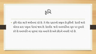 કૃવમ
• કૃવમ મોટા ભાગે જમીનમાં રહે છે. તે એક પ્રકારનો સજીવ છે.કૃવમની કેટલી જતો
ખોરાક દ્રારા પશુના પેટમાં જાય છે. કેટલીક જતો વનસ્પવતના મૂળ પર હુમલો
કરે છે.વનસ્પવત ના મૂળમાં ગાંઠ બનાવે છે.અને છોડને નબળો પડે છે.
 