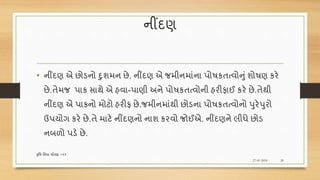 નીંદણ
• નીંદણ એ છોડનો દુશમન છે. નીંદણ એ જમીનમાંના પોિકતત્વોનું શોિણ કરે
છે.તેમજ પાક સાથે એ હવા-પાણી અને પોિકતત્વોની હરીફાઈ કરે છે.તેથી
નીંદણ એ પાકનો મોટો હરીફ છે.જમીનમાંથી છોડના પોિકતત્વોનો પુરેપુરો
ઉપયોગ કરે છે.તે માટે નીંદણનો નાશ કરવો જોઈએ. નીંદણને લીધે છોડ
નબળો પડે છે.
27-01-2018
કૃવિ વવધા ધોરણ =૧૨
20
 