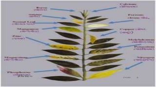 27-01-2018
કૃવિ વવધા ધોરણ =૧૨
22
 
