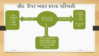 છોડ ઉપર અસર કરતા પરરબળો
27-01-2018Soil science 3
છોડ ઉપર અસર
કરતા પરરબળો
જ
મી
ન
ઘ
ટ
કો
વાતાવરણ ઘટકોજૈવવક ઘટકો
 સુક્ષ્મ
જીવાણુંઓ
 છોડ
 પ્રાણી
 મનુષ્ય
જમીનનુંઉષ્ણતામાન
જમીનનુંભેજનું પ્રમાણ
જમીનની ભૈવતક ક્સ્થવત
જમીનનુંરાસાયણણક
બંધારણ
 વરસાદ
 ઉષ્ણતા
માન
 પવન
વાતાવારનો
ભેંજ
 
