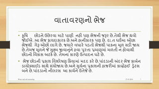 વાતાવરણનો ભેજ
• કૃવિ છોડને ઉછેરવા માટે પાણી નહી પણ ભેજની જરૂર છે.તેથી ભેજ થવો
જોઈએ .આ ભેજ ફાયદાકારક છે.અને હાનીકારક પણ છે. દા.ત ઘઉંમા ઓછા
ભેજથી ગેરૂ ઓછો લાગે છે. જયારે વધારે પડતો ભેજથી પાકના મૂળ સડી જાય
છે.તેમજ મૂળને જે સુક્ષ્મ જીવાનુંને હવા પુરતા પ્રમાણમાં મળતી ન હોવાથી
છોડનો વવકાસ અટકે છે. તેમના કારણે ઉત્પાદન ઘટે છે.
• ભેજ છોડની પ્રકાશ વવશ્લેિણ રિયામાં મદદ કરે છે.પાંદડાની અંદર ભેજ કાબશન
ડાયોતસાઈડ સાથે સંયોજાય છે.અને સુયશના પ્રકાશની હાજરીમાં કાબ્રોહઈ ડ્રેટસ
બને છે.પાંદડાનો નીલરસ આ કાયશને ઉતેજે છે.
27-01-2018Water and soil reasanship 7
 