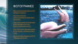 ΦΩΤΟΓΡΑΦΙΕΣ
https://www.aboutanimals.com/bir
d/emperor-penguin/
http://www.dive-the-
world.com/creatures-great-white-
sharks.php
https://sites.google.com/site/valeri
asbiologypage/unit-3-cell-
theory/current-event--unit-3
https://commons.wikimedia.org/wi
ki/File:Alligator_snapping_turtle_(
1).jpg
http://animalyou.blogspot.gr/2012/
12/beluga-whale.html
 