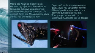 Μέσα στα λαμπρά πράσινα και
κόκκινα της αβύσσου ένα πλάσμα
ξεχωρίζει. Κόκκινα μικροσκοπικά
φωτάκια διακρίνονται στο νερό. Το
μυστικό όπλο του Μαλακόστεου είναι
ότι δεν τον βλέπει η λεία του.
Πέρα από το ότι παράγει κόκκινο
φως, λόγω του χρώματός του τα
άλλα ψάρια δεν μπορούν να τον
δουν σε αντίθεση με τον ίδιο.
Έτσι μπορεί να επιτεθεί σε
μικρότερα πλάσματα και να τραφεί.
 