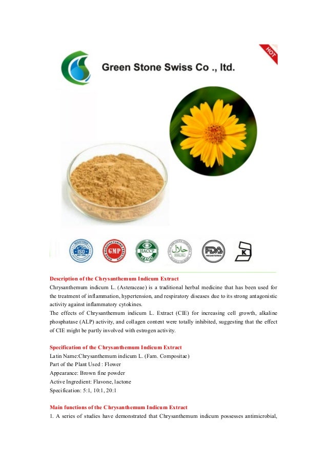 Chrysanthemum Indicum Extract Specification 51, 101, 201