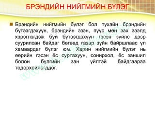 БРЭНДИЙН НИЙГМИЙН БҮЛЭГ
 Брэндийн нийгмийн бүлэг бол тухайн брэндийн
бүтээгдэхүүн, брэндийн эзэн, пүүс мөн зах зээлд
хэрэглэгдэж буй бүтээгдэхүүн гэсэн зүйлс дээр
суурилсан байдаг бөгөөд газар зүйн байршлаас үл
хамаардаг бүлэг юм. Харин нийгмийн бүлэг нь
өөрийн гэсэн ёс суртахуун, сонирхол, ёс заншил
болон бүлгийн зан үйлтэй байдгаараа
тодорхойлогддог.
 