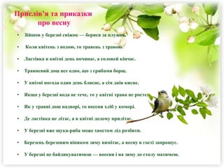 День миколая в травні