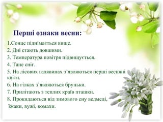 Весна | PPT