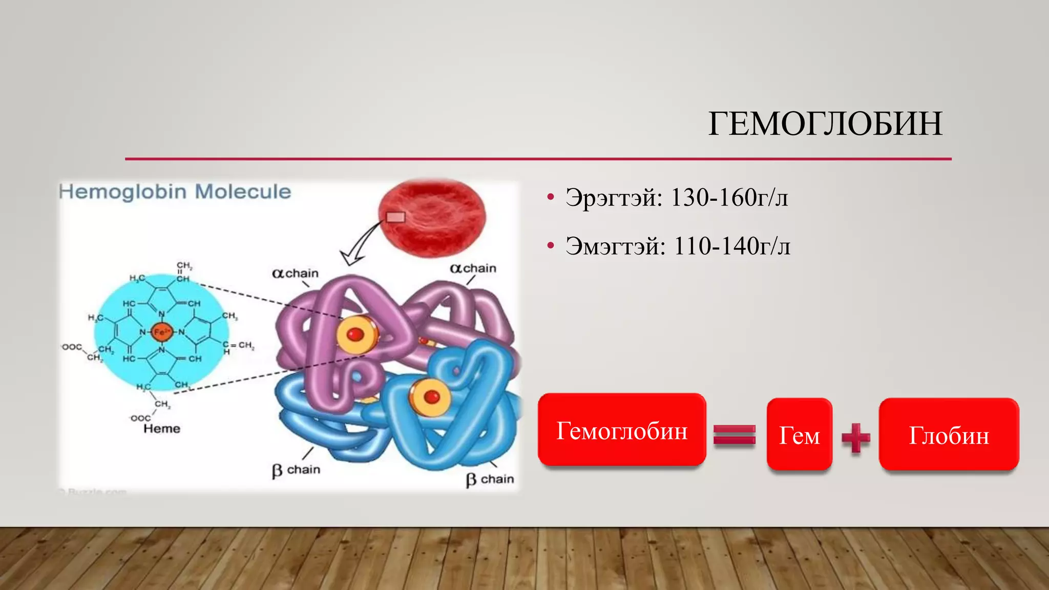 ГЕМОГЛОБИН
• Эрэгтэй: 130-160г/л
• Эмэгтэй: 110-140г/л
Гемоглобин Гем Глобин
 