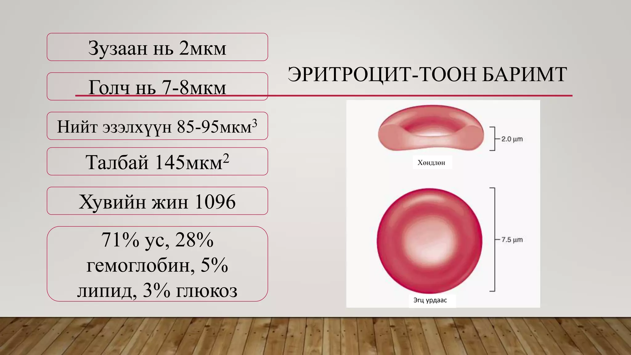 ЭРИТРОЦИТ-ТООН БАРИМТ
Зузаан нь 2мкм
Голч нь 7-8мкм
Нийт эзэлхүүн 85-95мкм3
Талбай 145мкм2
Хувийн жин 1096
71% ус, 28%
гемоглобин, 5%
липид, 3% глюкоз
Хөндлөн
Эгц урдаас
 