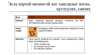 Эсэд хортой нөлөөтэй хог хаягдалыг ялгах,
цуглуулах, савлах
 