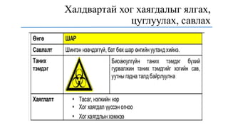 Халдвартай хог хаягдалыг ялгах,
цуглуулах, савлах
 