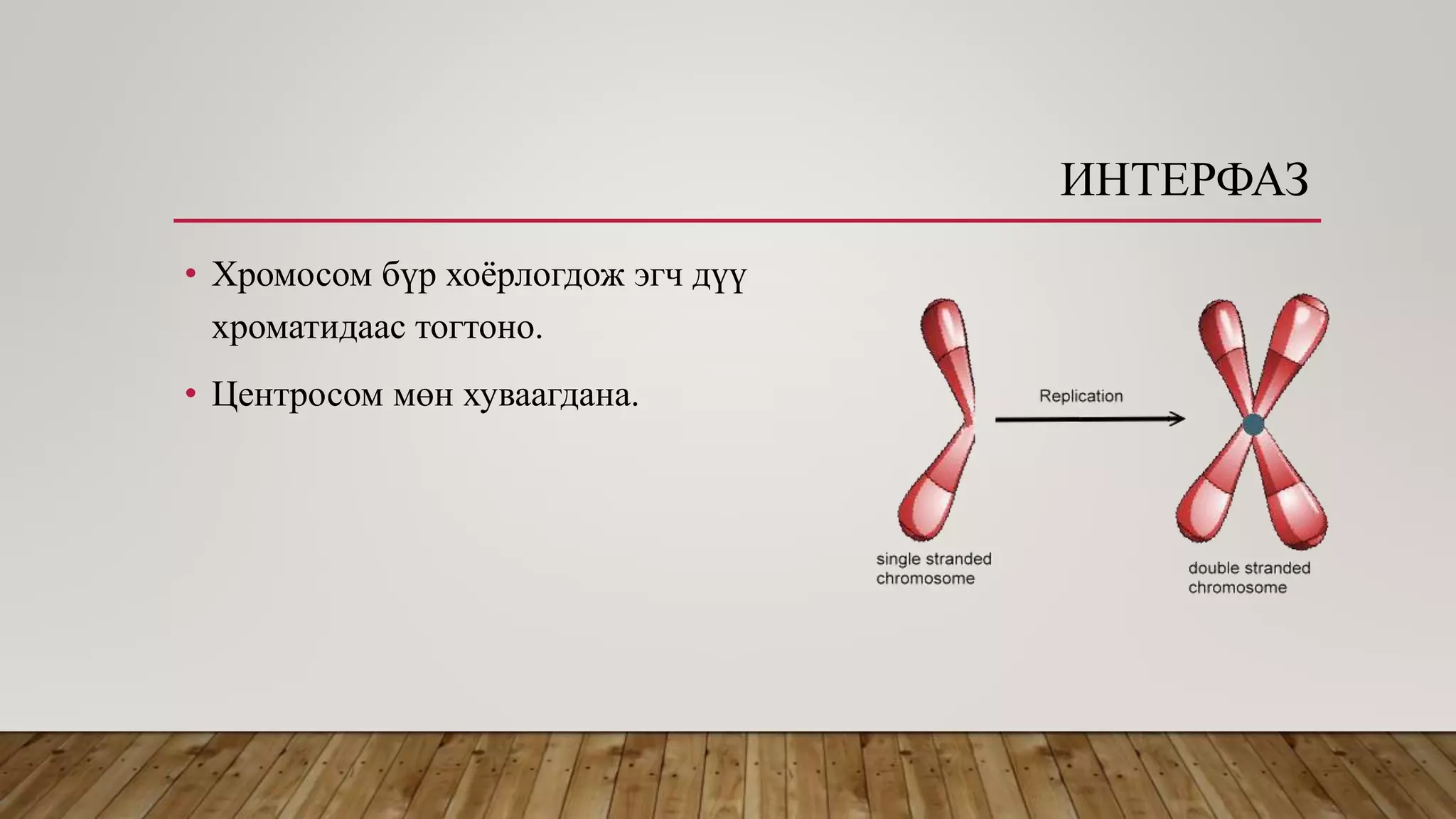 Эсийн хуваагдал | PPT