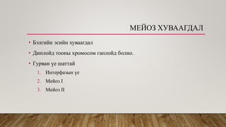 Эсийн хуваагдал | PPT