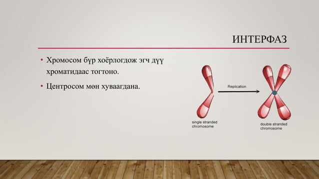 Эсийн хуваагдал