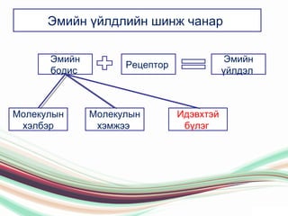 эмийн эмчилгээний-үр-нөлөө | PPT