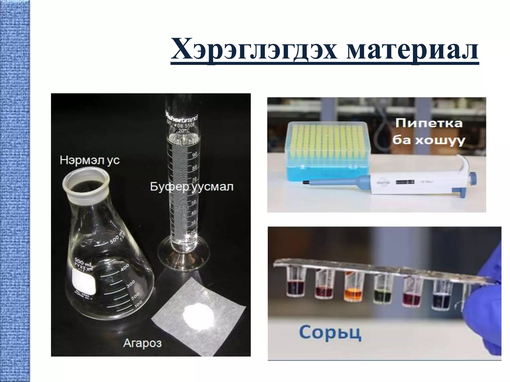 Гель электрофорез | PPT