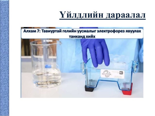 Гель электрофорез