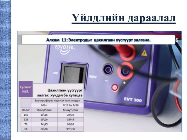 Гель электрофорез