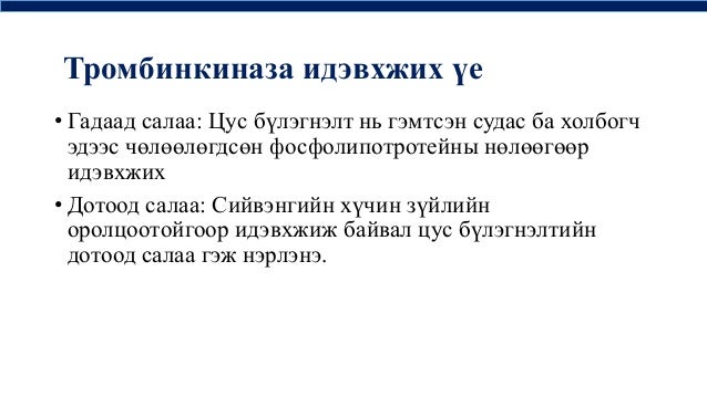 цусны физиологи