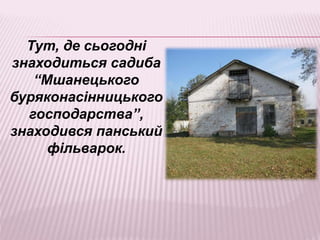 Тут, де сьогодні
знаходиться садиба
“Мшанецького
буряконасінницького
господарства”,
знаходився панський
фільварок.
 