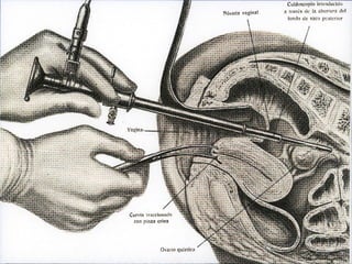 02/02/18 10
Topic Two
 