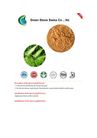 Description of the Spora Lygodii Extract
1. Clear the hot and humid, the shower the pain.
2. For the hot shower, sand drench, blood drench, cream drench.urethral acerbity pain.
Specification of the Spora Lygodii Extract
Appearance:brown yellow powder
Qualification of the Spora Lygodii Extract
 