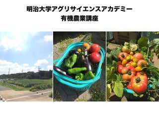 俺のリンスタはまだ生きているぞ！