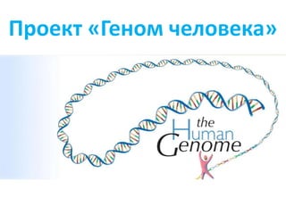 Проект «Геном человека»
 