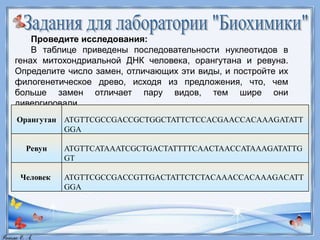 Проведите исследования:
В таблице приведены последовательности нуклеотидов в
генах митохондриальной ДНК человека, орангутана и ревуна.
Определите число замен, отличающих эти виды, и постройте их
филогенетическое древо, исходя из предложения, что, чем
больше замен отличает пару видов, тем шире они
дивергировали.
Орангутан ATGTTCGCCGACCGCTGGCTATTCTCCACGAACCACAAAGATATT
GGA
Ревун ATGTTCATAAATCGCTGACTATTTTCAACTAACCATAAAGATATTG
GT
Человек ATGTTCGCCGACCGTTGACTATTCTCTACAAACCACAAAGACATT
GGA
 