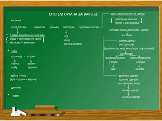 Дисање, варење, излучивање | PPT