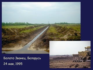 Болото Званец, Беларусь
24 мая, 1995
 