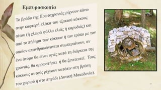 Εμπυροσκοπία
60
 