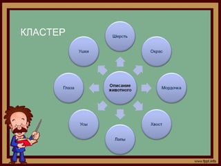 КЛАСТЕР
 