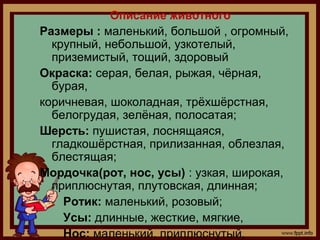 Описание животного
Размеры : маленький, большой , огромный,
крупный, небольшой, узкотелый,
приземистый, тощий, здоровый
Ок...