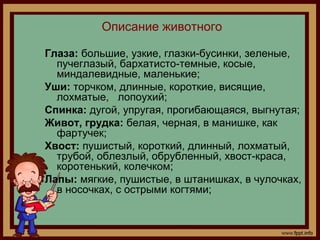 Описание животного
Глаза: большие, узкие, глазки-бусинки, зеленые,
пучеглазый, бархатисто-темные, косые,
миндалевидные, ма...