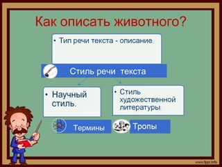 Как описать животного?
Стиль речи текста
Термины
 