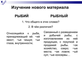 РЫБИЙ РЫБНЫЙ
Относящийся к рыбе,
принадлежащий ей. ~ий
хвост; ~ья чешуя; ~ьи
глаза, внутренности;
Связанный с разведением
и добычей рыбы, с
изготовлением из неё
продукции, с покупкой и
продажей рыбы. ~ое
хозяйство, озеро; ~ые
места; ~ая ловля; ~ый
суп; ~ые консервы…
Изучение нового материала
1. Что общего в этих словах?
2. В чём различия?
 